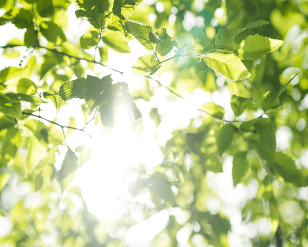 Why UV protection is essential for schools
